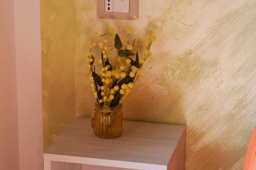 מרינה די קמרוטה Case Vacanze La Quercia מראה חיצוני תמונה