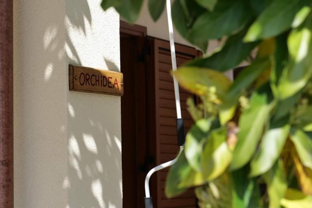 מרינה די קמרוטה Case Vacanze La Quercia מראה חיצוני תמונה